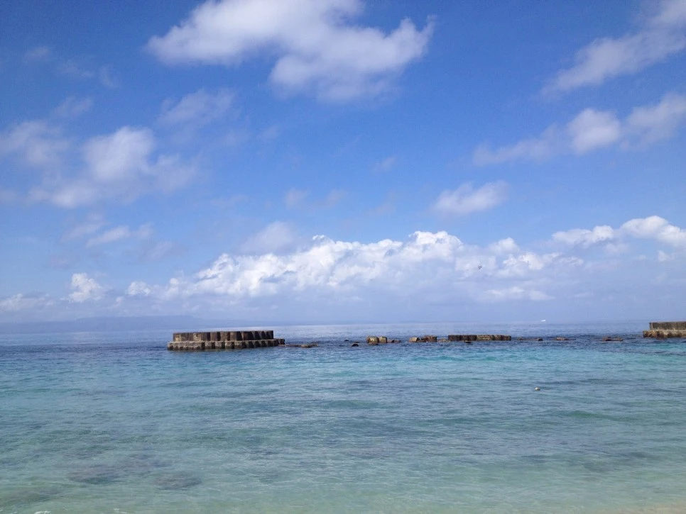 IMG_8208.JPG?type=w966