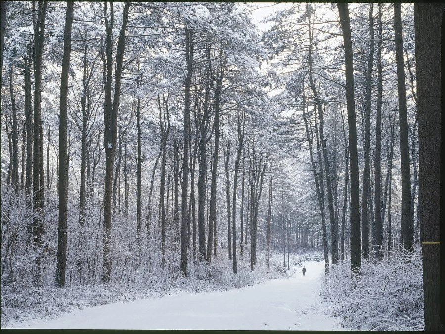 다운로드 (1).jpeg