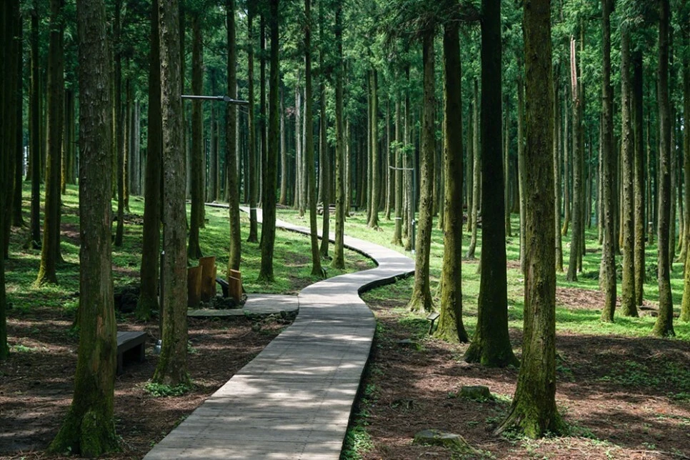 다운로드 (1).jpeg