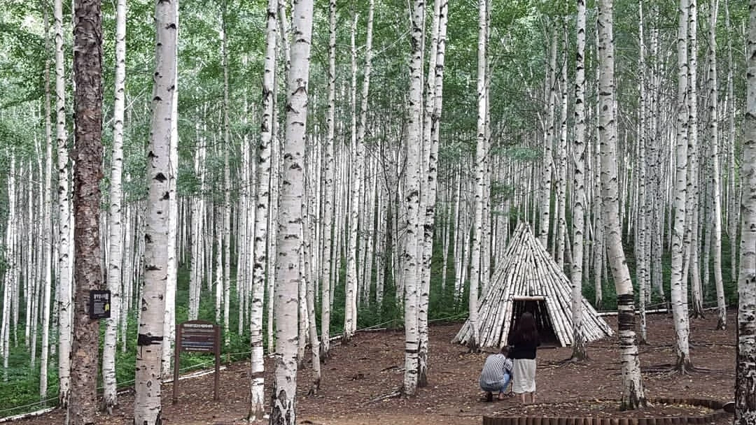 다운로드 (2).jpeg