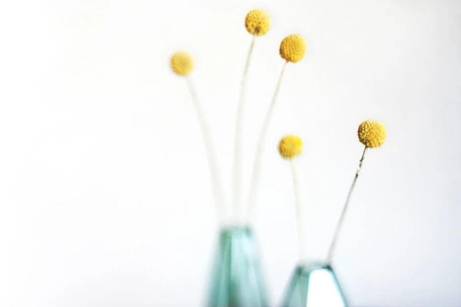 photo-1468174578019-d2e029959f4e.jpg?type=w1