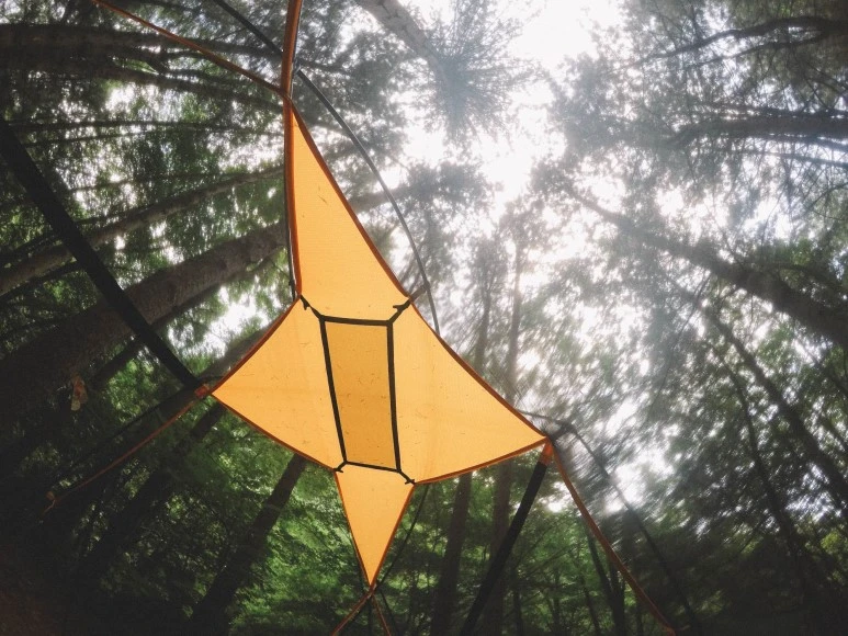 DSC00747.jpg?type=w773