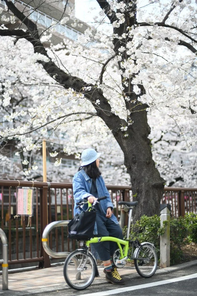 KakaoTalk_20180407_005820184.jpg?type=w773