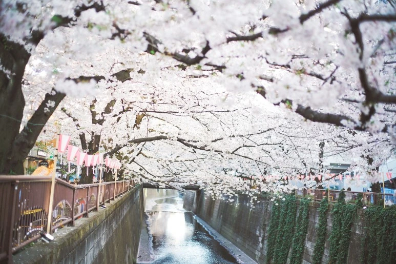 DSC06122.jpg?type=w773