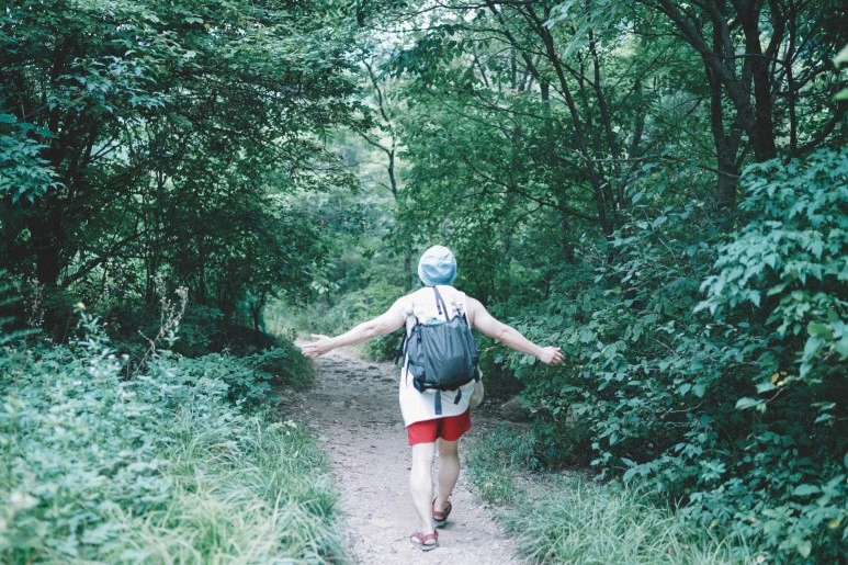 DSC00793.jpg?type=w773