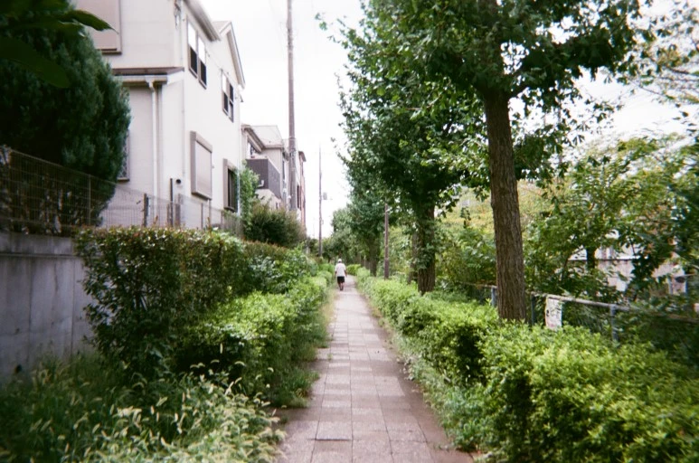 000074060010.jpg?type=w773