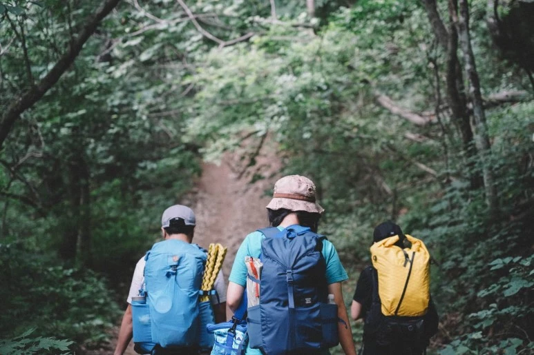 DSC00656.jpg?type=w773