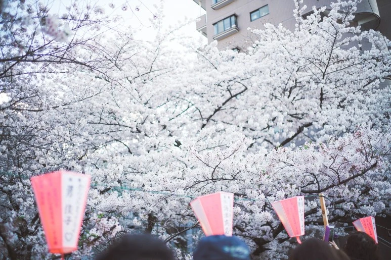 DSC06153.jpg?type=w773