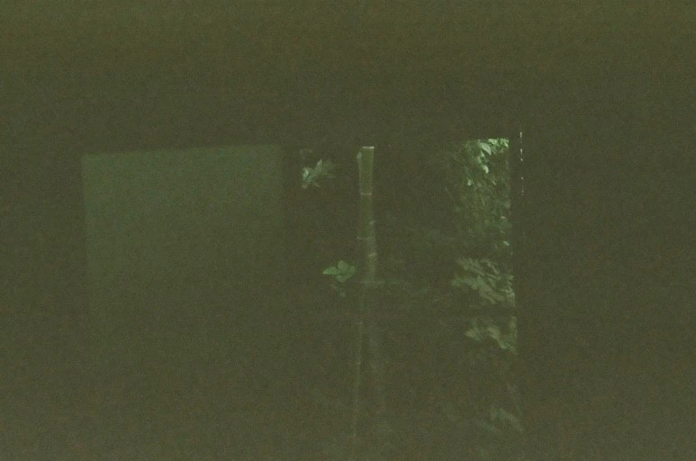 image_7184483961540281740449.jpg?type=w773