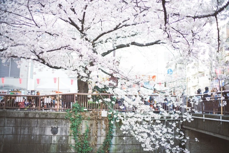 DSC06111.jpg?type=w773