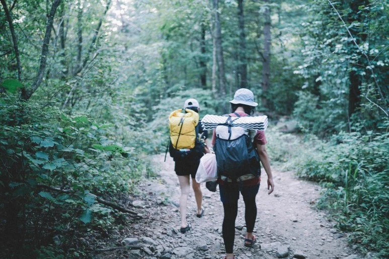 DSC01193.jpg?type=w773