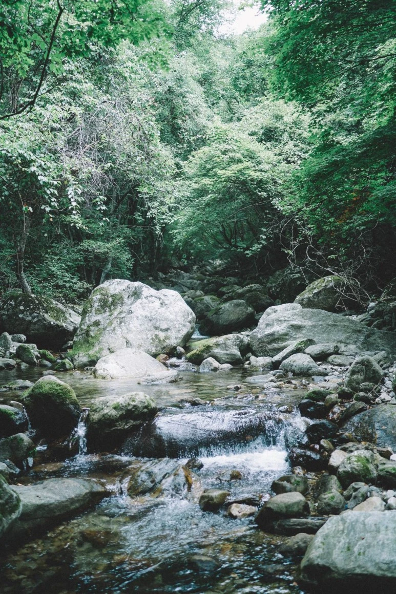 DSC01050.jpg?type=w773