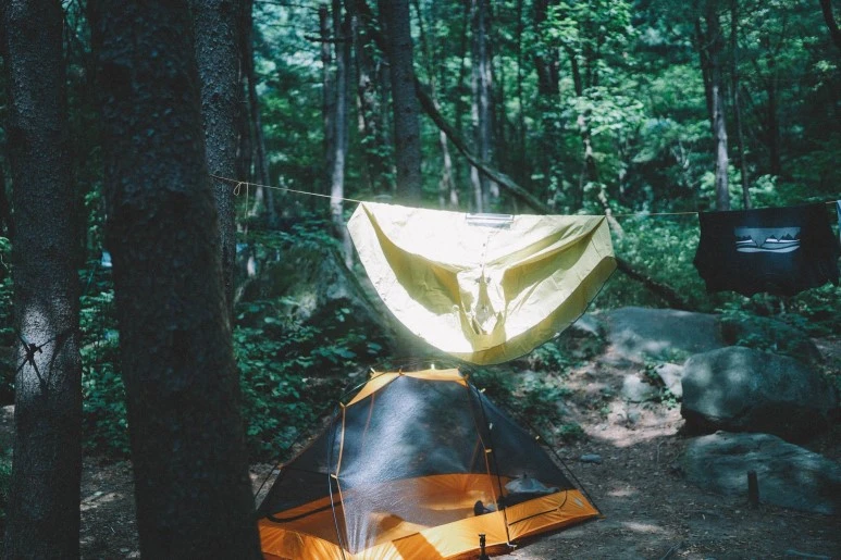 DSC01047.jpg?type=w773