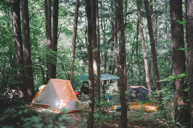 DSC00532.jpg?type=w773