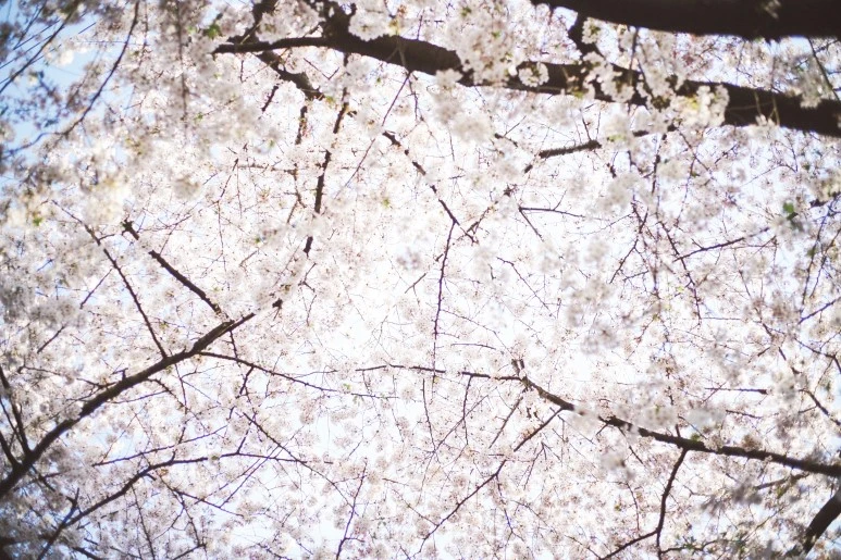 DSC06089.jpg?type=w773