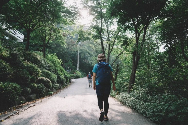 DSC00407.jpg?type=w773