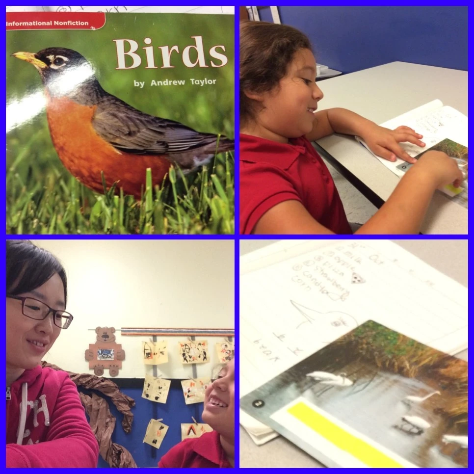 IMG_7690.JPG?type=w966