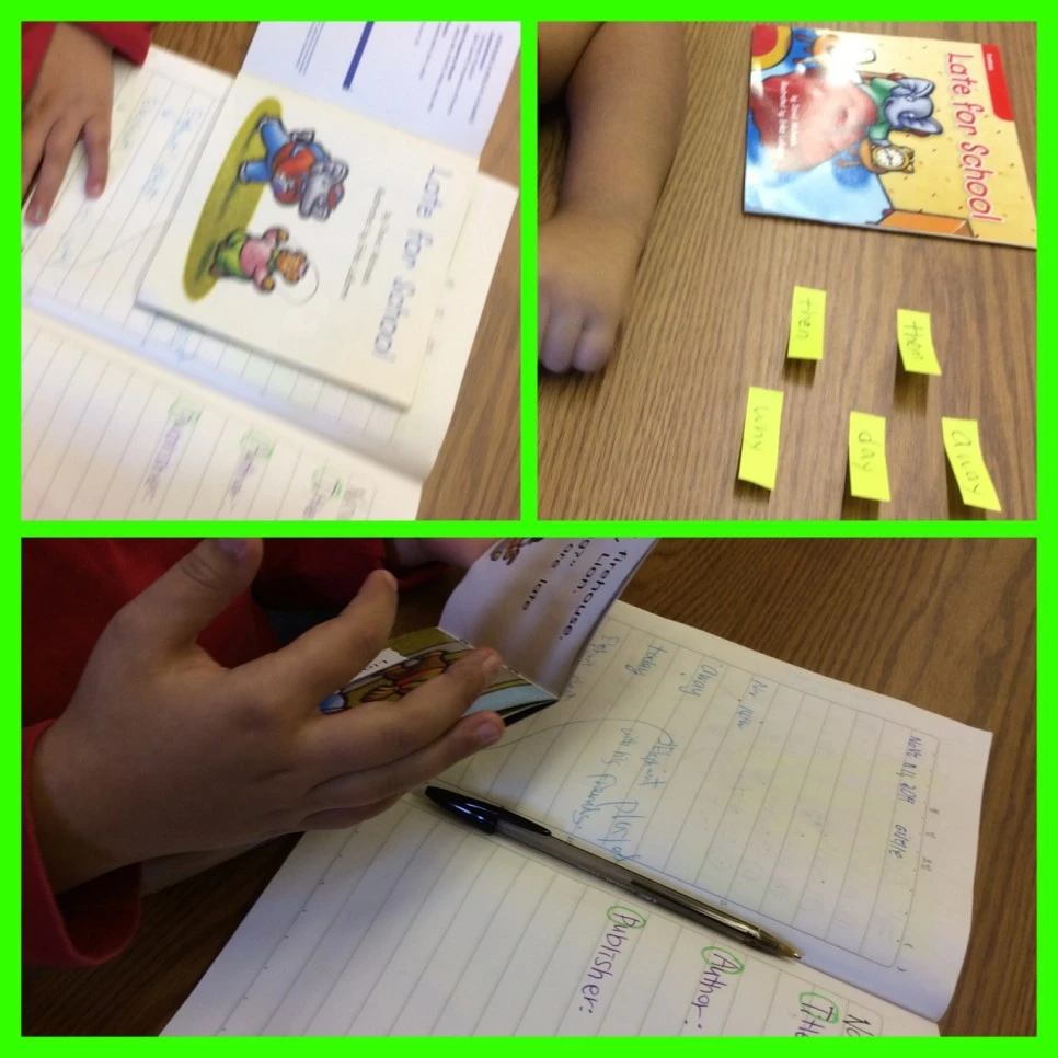 IMG_7691.JPG?type=w966