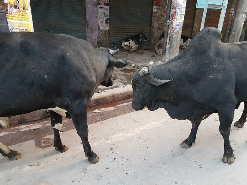 4E4i6VJhAUFMP64koZSA5_RsJtIGcFTBgjrf5ZXXBdx3ulrEAVMigryjBblPwKcKUKx3_5AX37HytYtTHhUZDTDZs1Uca28iaygjG6qQ4ef6iH_j5Uf5jfJJeNrFYfWVjLxNn0ghUlZnOnoBAM9PFAmh1TEACRJvT17cHMhEuyK01curUXtXPiw6eCy6ln_NvwxVVxT6EOlzL87D-7SyyUfK0-HV_U2UTsFHH8RO928kfZK5IdL9Vsy4RzKcqvoIXlJ8ZzuSqHG27p54JFGDrY5CFDV-L-TAvpoQr1FbOEVjCVh3f0P8qB4pNFOCEiisg1IxXBJ-roKHGzzpWkP_OA4UAOQ_ahDX7UD6UBPsyZ0hCaBF6QybteoDaCXxwP23UQwnhhxVr19810hA5z2KEgHBo3xj1umoo_SJaQRLODoUP12xjFyi_ojBTtNy-BhWXEQi_Xzy1na3gJLDHbZ5QdOqcf1I_D2ERfFP4BSDZqON_juB685i8vkF4DIx-nDTr6XdxdZ3C7CCusPmc_gSAoRriAO5DvG3av-ityUDCIRmuThV-RUYOKWJ0X-b_l3Kq9t5g35ZHVBN22lHvZ225HAsCfnaxHzJIPnJ9Hj7JqZ46A02cA=w808-h606-no