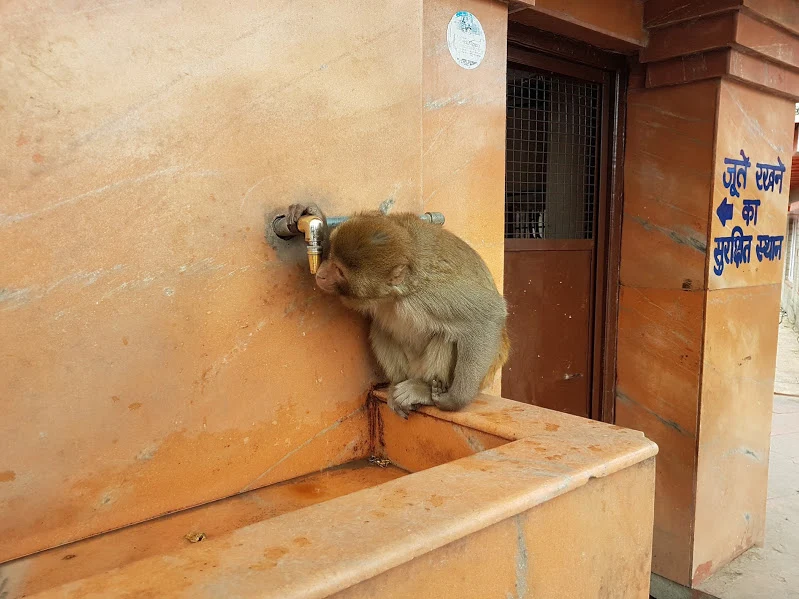 FEntvqF9PJ9BcMc5gR6N9LnP0D7o-nv5bGNIQJu1UJSe6cXVrFIQPzGw2IEIMRi2O1PIMJWKbnGPCyeayEj7DXPtOxNBIb_gH7XVkjfNaF2l1A4XLb0pbHneNDDqJX_l036sUf2w3rLRNB_jpw42qsOAAIqJYAlVfIemYp8LTKRqmlyTX8FE_2cdTGtk7cPk-5rzz0OEyfpaNrM78MToXDNfAZ58Y9AGGEJTC1-pe38iPqUMYsodipPVuHS6lJWIRsEFEdhKmZIXbaV6CRjo1elu3CExlP5jVLA7byqpX3VzN0ibXSiik4SSNTTQbWkX3bSLkqnJY42X8zIcSLgWGyK1eLGYg0vjVK53Kb4wOd8J1hp6ABnohocRenLr7L-pt-k-gZoBVNTZrzFoMhZVCtUWybcEdvNR6q3RS3Jr8M4j1HDo1j2ySEqJCv-QoHNnE83EMK6kOQnalNoWaQGCevZgtiFHsgyW0PZi5ugCnpWlIqK4_xgn_voloHKS-Vhes-xVOiZTfn1irnYFLf9hxdAYTih6WY3kZKKh8fqR_NdFDWBHefarsSjB5DwjXZavmRYiyNGWfXBPO2PeZZ4Xtz0DFebpvelP42RwQHCZerLN75ujuQ=w799-h600-no