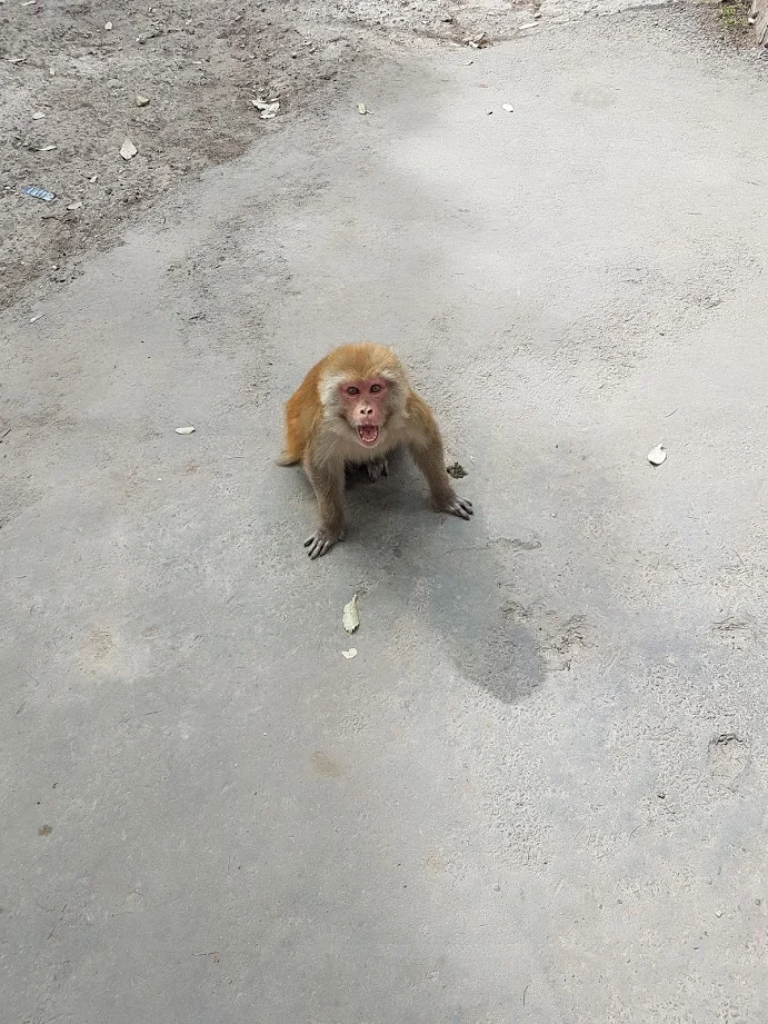 eiu4zmBEbQ6BVTPaUFVCXNimjMigqJZvyP6YYYkW6YfjccXEGrT0e2vsi5sBdHM2BmSlseJYcfzKOeTW6B8-JETwTg2zZsfHMrjh_5JlgcxXPi5nLZxdDSLb6nubyci_LRPkKmp-1TNwaoPOMwB6sNAxfGokuFFAPj81R8TSkVhKk0wC1JsFam5pgUJse-a-SpGO8kpC_aYYJUfZJIMVrRqyrOzLXkQ23KRRyt5kyU5zq7CmFs5WUQFwiQxjXXjNxOsY9Fy-UGgjQCNWMXTBJKOMPgCOUuwq-OrO9CQ6Be_4ucjGNeDn8VnaZu6Z_4k-zRODB8_4_Bq7QAsPHGaBTIE7xj_Ddg8hQ67p5ikOEITMu0uAxcyMeBls-yCic4AX1KkK_QZM63X4VHSc2BLhMfO0gj1eZkMyRZV5OUWvHR95zpJKF_2klwBbIZM9w3xwVDPIOQVpBUfKph6VZ7YLCxaSEOj0poMHGVc5iA8GjIoOyE18ST9-fQNOnf84Zqz6_hEjupZmBPf4-v5-qTq8S9YxxZ5P8PKxWK9GVNN7a4mUmv1MyDDGimMIxBf5X-WsyX4avobaO-kJl3QD__nFH5YkoYG0X-p9SQ3y49dXeraMc62uiw=w691-h921-no