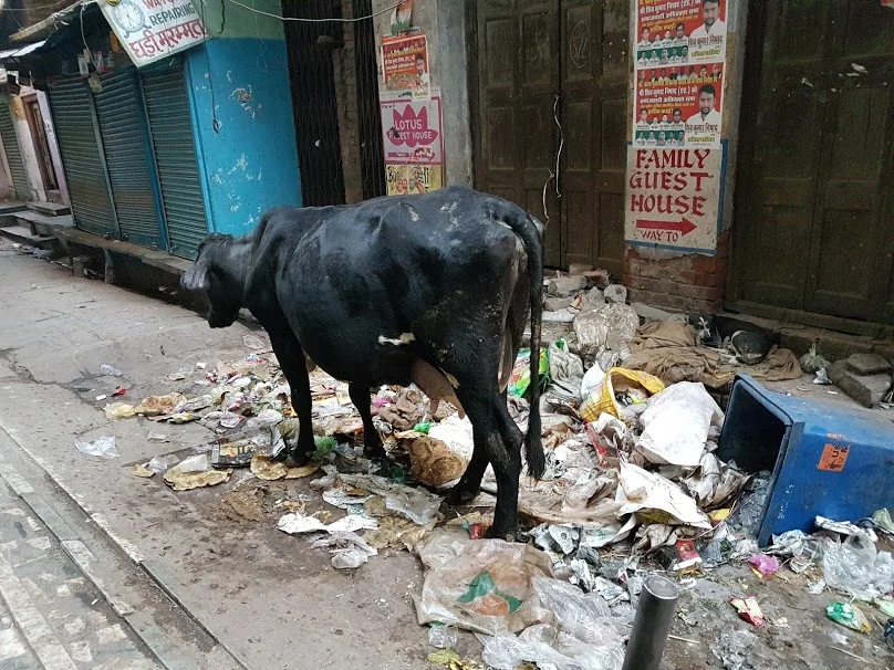 pahdxsGgUwejHFv_w1G0TT43_wICS-ewsZzrNPjPC0AGQDxZJwsfW7c-Vnr0krKNTt08Kiv3eZGu4OnRs7CLp8rxfDOb7ZzVr3DuuZqsZnMI4W3w8iHb6qVCwyJORATngTc_FBqhyJ_Iinx9MpcAzVQ0X6mIjfrQ4cpz7-BYfz2-_P_9_bByrCM4P-E9RRnCSTSkjxOUEMoShuHDkESD_6jdFhrPEPQs35-CMwT1ONIWI2Juku2JcOB1f81E_l00C8QPxdba1lXrB5jSGprzezkL0RPJHCS5nIGhMevNLaVZzg15g3Pr8mJH0TTu64ADX7ZzfDY8NQPbaegcy0OjJTo87ATBohX3wo1YAx9ng7zyHROw10K_T0_6W0xSk961n6Cpa7_GE9WpupdK2V68fmW1OkRZF-siak32kkDtBheMDA7WtWXX2QwXkwhf-rPVAzYX77pmV9E7OHh3PnQJx5vzfDpAXwfzBh_bbZ-0VmTwwsrTIVxELUfAKgfqiKjckoUHcGXQvX7zT8dhLywoAzoDCoa7iP8BLjrIkp5Qm9fR_DLF2vI0NMkdwQOv6VBWw9FDbvZaojJVF8qGZPMLpAQqKjsxjgHZn0-Nj9tRyTi4Rzx2HQ=w808-h606-no