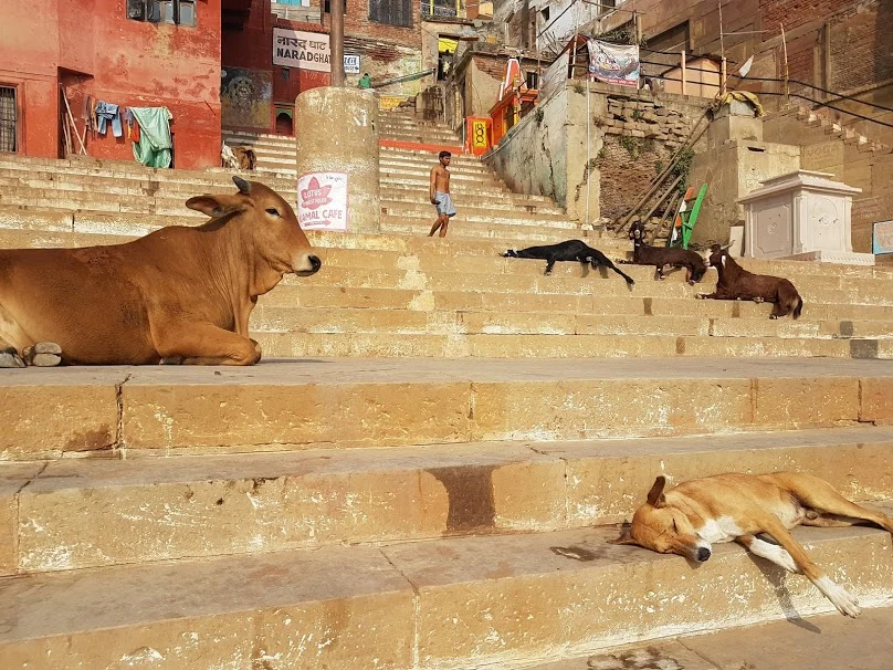 UyMcylgcMUUFGijZSaLl80tyiAG4Yi8iaSa2uie3lrJI1qT4bpHxOVGNUQIUhkSRezKy6xNSWNQF7BsRQxZ_HTFoEE72LaYduk2ffY2JFaLr4ddAO3Q1WJUxUcQClNWLNpIX8P7Q_D4NWOHFJIC45bhhK-HoabNusFfjhPxknRW8FJhxyyU_2izPm0o3anA9_nzzeey5HLzjmYJI98DmP6ErTKLWZ6RyMqTfQ5lF1M2qtKPRgGSP7BU_Zn53pfjJR3CahCDmDksBXfJ1-wJS3ViSb6sHy8FyI1fls7hi-LvaYYlqRpK5rG3nZSHleStXr83ebt4nRSwVd_rMPoqKXSrzk4pYgsUv0LNBv-C1SZa_VN0fX5d58icdIaWe-03VQeLqpsXiCFB89Ik9--RNEVNl6IbO18GgHwfphEW4OM_8h0Ax7cfVCwrQ4X7HJKHRG_p01NohLX2nsg6pffJ5eXWs0pIVImL1F0oxtY4B5yLy3KAfvtrsYe6IFq_ugi48rLLI4X-kQ6GmJCPR2cHY0SoFRTve9sWCHaCQNQyAMH2SedDTYBa3Al24ErL15vvDEoBntF2mu8iifCpn0aeldyuBAFBMsByKsDU4MUU31wU0wBCBsw=w808-h606-no