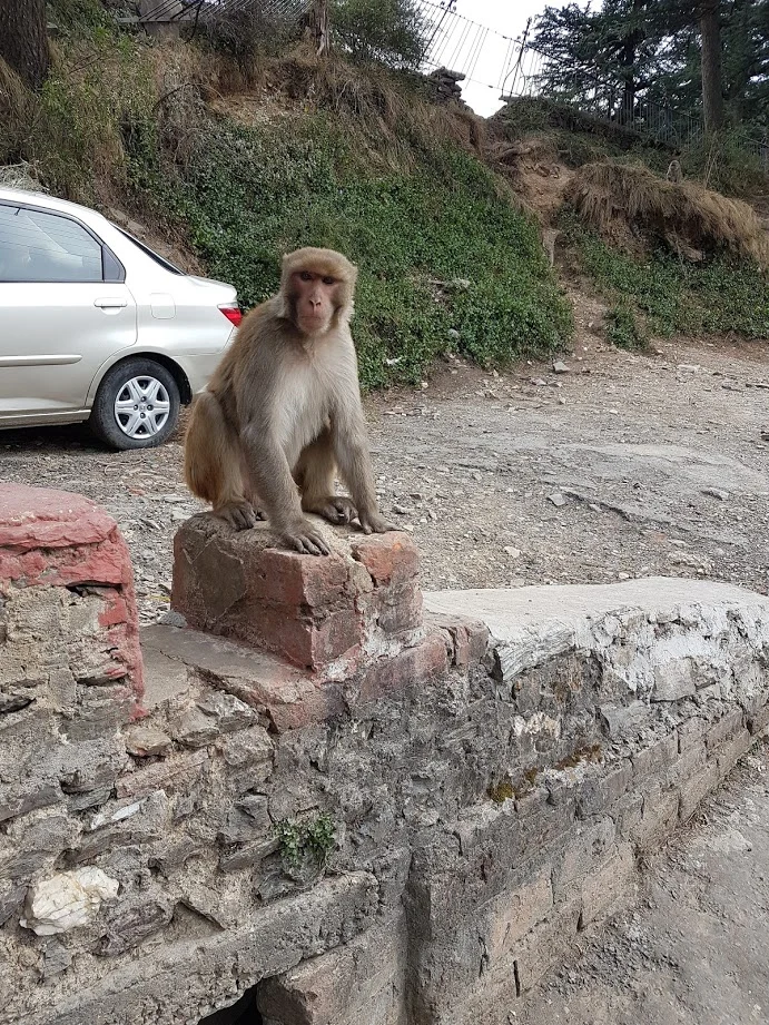 hSzDp7BdtQVWuwu8EqEcGs-inEcydcVLFgHpGh487ZujZu1ZVfXdGKb1Lcsg-HXDXgZo5BiFBsd1MPvswvHCk2agnZpJo_ftPQhVcwV7mXtXxGz2C23wcFIrav_mlc-zi0Jle706CdKYsjTwEZN24zZ0deTy--6ni7qlkleKUzE7uERfOEX79zcN820yORpbQEA46mZPu0nrCHw3EPrJPikCqOOPClMI9Z-UECLMx3hJZFJZ3VxmeP9Rsdnwilid104f3PnhdI-3ngVeucbvAVHt6D95mt9HdXnXeO4ES7ZZnk06XgjwYQvmBb-QCoAFtvPUGfwqBx-P7RrsFWNEwtKRq_dMRNYYyZ2WSzVVeCBN_pAihnCCpubqboAkrLJlt73cw_SHFpUatV_By1tXSCJPi3Sg62tNeRfRcXx2Yu2xWR_IFXw-DAReF5qOhvbq68waD3y2e7dZ5DJouSF3kodk952ARFock_iOcPjXJp8tAqWnV5OYvvQHSWI_-OUKsnpy2_Up2hMTXk5iaWoXiKosvAxW_HhYtBIzJVZsFSU-BTeYXmUBLkPd-or8UnjL82Q7daZToUY-08_jBuU_j3Ot4f8Sr87tdnF2cloAQ8AeYNS_aw=w691-h921-no