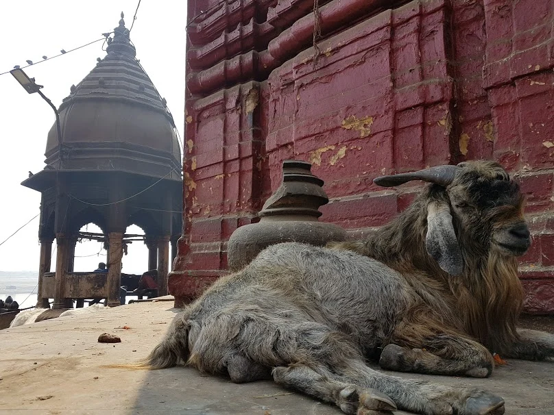 5lNdqTbC9-O6qQnMscd3OLAbmcddevLlx5tQdlvhc6-qBdH0s3vWK4fU-xVaaiaJKIIphtyuXUL7le2ktc_3V5aYOMXThD4k0N9ItrdW75R53CmK3mot5oo1qHVKdC0FKsdEWKvexbrEBh7cwd5E2Tl5DX2rozy3BaN5PGsKyqumYGkIIePwWc4qYcq3N70TuTkAwi3mqnUo9e4xBUOU9ySD27g4GjJ6B4DUwAMueMEF3C8omVuuflFEVKxfweUw6GzG1PJk3JbwuJU2YNo6hJtjNGBVIYnRU2ll05vGMlAwiuRFmvVuWn4mVQKmuoNthFXl693zC20RqF6BwfjUGX0_5J-co7lZbZ4tqoy1viLL7Xb3C-7AE7Hwi-wjYBOjca3q-RxeAECJ30Go8u5xalKwtbr9lhJFwTdg6FWCAIzb26I_k8IfZEixjVSn0yPTMiXbLIInAb7_CLIefE72eN3jAc_Ujp-hsHmdKMJJRc3KRGrAJneUWs9YcFucgnUHwbcbC_q0WKw8fXYebHq1KQqOisG8-1Z92jpclRL-POTZOiwTPpuapbYeKlR_Eg4l7ri7OAWcuigCgxHgLT95VMeEId6yYdyKBrxtaqukj7e8WsETTA=w808-h606-no