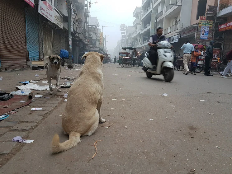 gDMV1NMdRM3lIxOzGSRetpNsyPX49Mjiz4gT5SWOmBTScEDWamC-ut3nHaePSjkl50sWdlw-WmWz39rHbFCB2H3jX_BF9RnpJYjb6QBN2iP4-XpED_uM1ChMUSmAKYD-wUPuDM2pdoSSwYoOqV-2IVOuruor8EHgGe53zRSY0XGf5tmktPLGPRkZrJnRuUR3-BLYUxQ5k-QUATs-J-6QhfuGJm_2tuWH_niBgBWp7TJkhHoHPzCwR7PtSvihxct0pgeHyn1PPDi52uCoobowKTgWV0XLrRm267i8-AyfuALZFoa8KmOai3k6fbbU-YzaKYw1hTzPU_RtNvlYym_koRwJamThKA63_1ofzcxmWPpeJjwdbJk6ch6ay8u4QEiKtxXIFXQ5GX9AMmGPhYiB2TFKZ6QNmapA-_gBjNFGNI4972kJCEpCrBGgLJJYbziTSojFwCm4Fz7JcD_w32CPrSawVugmXS2hzXveHqJFS78TG3NBACuNSHTb1tdFeCB6VhWLflhYB1kAqoOnH5zRciASSfvQQwfeoyRZq21dNIwzWOPsaE08qaDK9CEJbO4JRr1atlU5H6lAykIFAysxwPzTicCEZOZrKxf1Kgghvrgh7jtYspEFdA=w745-h559-no