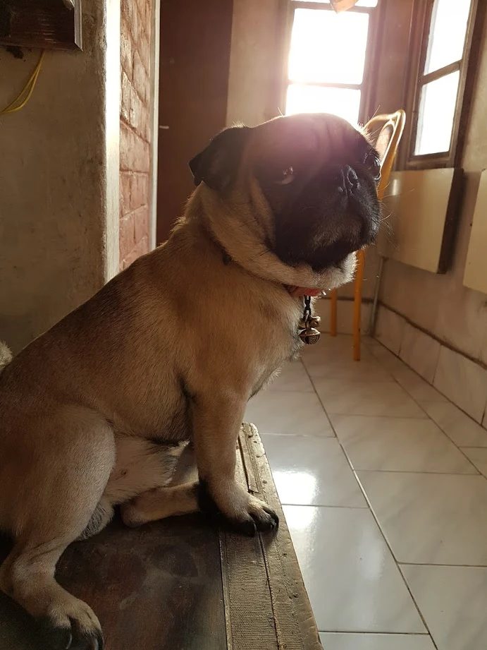 TOY7-ptSi7nWlqUoyr5sRotnSZfSdFgiMlEuUhTeWLsO210iPclVFi1cFQpyUB3o9rYbJ5G5HV8DvVh45TYfuvVG0e0BRuL3n5YjeA2u17fnpQ0NC4q_HWWPJwbw72RLGgllBZEgB35BtRtUp0G0trv4ZbP_q0CDefodxX1lxLw8EcMPP1ICHiLwuHWVi679SbGUEHWiS_lD6Mj8KNc2zvLA756BbSRSoqoTDPav3m6cwlVWkDqJiFb0uI9So1IRHTgL-esTdLHppAKQ_Bit_wlmLLITlRIFRkteUc8n6ASLATAjaoF7QvrYdUA4rJAk07S8bKPEX0tufexgLujRCZf8xnGZnSoEz6bLSrKCnNbPUfdFez2l-Gpar6VDcwvBMFqct2AWbka3mDh0JamG8jOfiDXcLCVf9FCRlD1tpTSeP03B9oAlbOfcN0SAzUNSz2McQMEm1ELYx_hrIkfHcKgAklHFpATbfxj7rJS9ZI1ubPFfLOpT0EI6sek-EoS4Qs4OtoiXmVo57puqL3NVmtzKyDw5-4sAjZy_l_O4r_l38ty_oCaCGqW9snZ_yiLSdCiv8wK68B9U41MXjiLMssb7mJQk0AhoQhxKPBj9EJhqGig7wA=w691-h921-no