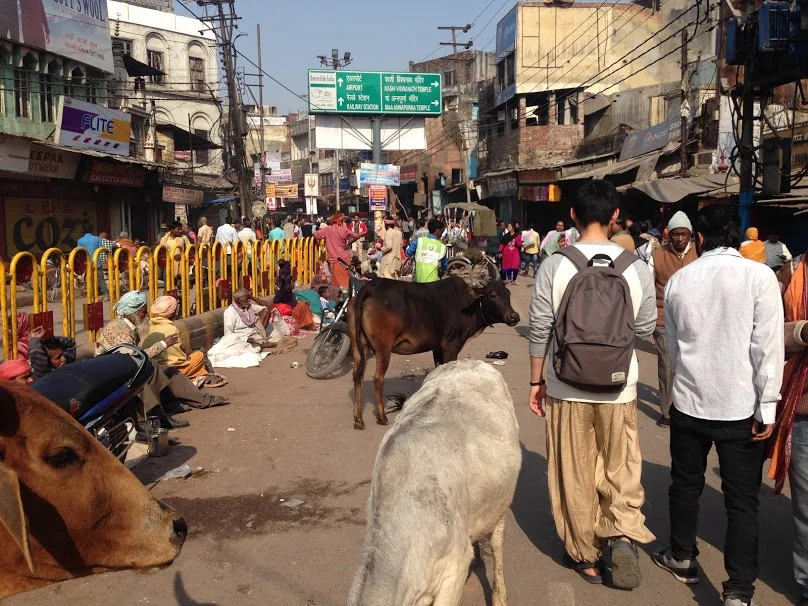 Edfb1bqEADuWXKJDsiDka7z9hHR8xkLWhfODAKEwa8uZ68TaUhCiwjhFtEJKI76FFYibRhcP2gMy14Gi4MClScU0c4FMBQWWBEeMalKJfs_pETvlKU_UI9u-0NjwlueNkY9Nnbvz5OukTx9W7UrjUrNuJQi7AGHlRBi08Aj5IaaYJVfG5jr7Pd81P64zhaGc2RP2yMw8-9yH3_cmqZcDo7-h7DNT3vz4NCu5fmgKlWuAvr7NtBAOuEd-nwbxZovkX9-vZZGt0mkWX1WGWvG8ayGFFPiV9RqKZPMF1BcZ-2Oz5ZlhFFHWd6uNSTxMgWbXlYhsCAUyXEPD_VtziirnnniY_VpCBwqTFTMY3nXo7bblSsOvcgdlkVwK07iNtDxBW8zHX4KWOz8536kI_2YxAAKjN94xn_kNJ9c4ZRmK3n3Nt_fOKCohTJ4lfZQghiMhkUQya77sKhhjcoZBg20jEwovOtc5rRVGe7Ke6ozVmtLgYicmj9b9FnNM4baoPyuxFtQVQSdzfipVIHx-fzLsaZHtv35O_wXpfzCcMbannRF4nOf4dq4opMJb8m07A3IWz5y7gaeMVttUxFRv6CqLY3PUAUB_Plml-ZY7iSChqK0WJVTgr31zuQ=w808-h606-no