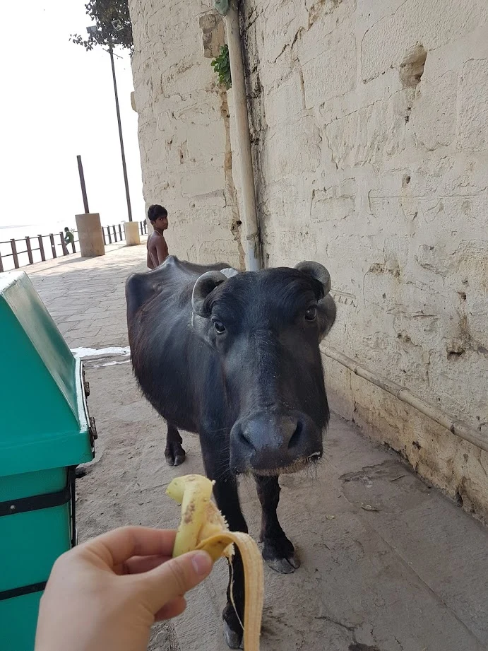 o1LLqHBFmMLBrxi3cYNnm_Kg325gJqfmHRLvXo8-6iFGQsFKPrzD5iCg8q79K9yB1gbFSHTGpo_RGyj3Rp8uVHy7MRj-yzpsRff2AoXWz2XAspjaiwOohANrA8DPV1RIe2dit8s5W_7kaAsofzcAg2J4SOZUPsXmttWwr6Cf5dPz0LREwaGtrABb0HpBxlJzBubk2oJg7fgXJ-cYopAi20BC74dMl7v-0LjqaH1J8fjlG-pvdbsEFF87SK-RKIAvbE0aUCk9tVZpusdWr0p-jTfHTdCgYxy1oV59rYOSTNAcuH4ZmDM4mX0wtEYYJ7qWTnXi-QwN_cXk-rMDhz-y82IDGk6wyY-Jfj6bDwD5Z_AZdaYDcU0SsCbA3QRHnefOa0JWrQADPYjX80anFzJmZOLK6bFDtXcTRbbtE0vKYl5dQXT0Y8FAwUgGzQH8REOuBgntiGxbz9TA08MX_XqOTXwxm81FV8ykaYHhipFpA8H2-m9CHEBa5a5hHS9pA5SjsrfI25MQde-oqFJUC6U0PbaaXjXCooo1L4B3j0Ec15tjXtWLTLHlobwpg4c5Aue94qVHHqc2deI5-fGVe3-Gto_je6eRjOqAV_NN14ZO0Mz0rp3Nrw=w691-h921-no