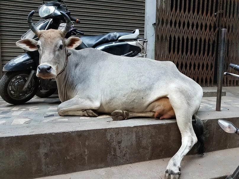 EeJ4w62ITRgIhdXoCgDg_GtV1ZHJCjuroGGtfYRBn6jztqj_faWKAVXSQWyhhBTdwK3DLCD-rP41QPKD2rrTrH0Ymp_chWpHzdcaaHjfsajdrHx7MerOKGWqurJ0_JSRLFN6ii14xg_oY-1PGUiqnHy_hLExJgMS0IO1t2--oKQt5N0AuOS1-0ZTjjwlByKWu0zyIBeXuo4lnpWaQkyQbb6RLqj1mBs_JgypZukQzi2brRyDqNQ1EVIKdm9KZGYk63iLWCkVke7pacAz40igQQsEKiMp_5L5SbyMfQbWd0IdZGLzU1tD_7nZxF5SHUG34sabBJSuo0xJTvfX0cP19AyOD7bVuV9SbK8gSyO1LTwEKJ1HM5Y29_ae7E4CSXJh0h-EsPxyCP7R8yE_dtgF3yP5Z53GbkQPgJkCPCSzJS91KF0J-Zb4Uv4mBRTGfSlCoargh5suclF6UdUHfois89nCO8HS78VNzecm96wfcDhmkm27JeuQDVqqOEC70bD_Ul1C1yoIL9RamxhfxHrYmbAC1cekgi9tg6fGQ-L2tOQLjye-gwBblQK_k41WgEZEHGWXTQmW-aRfIZB9vNxWZCSmdhvPwPVLwup6CSSZNDnFoQwwQA=w808-h606-no