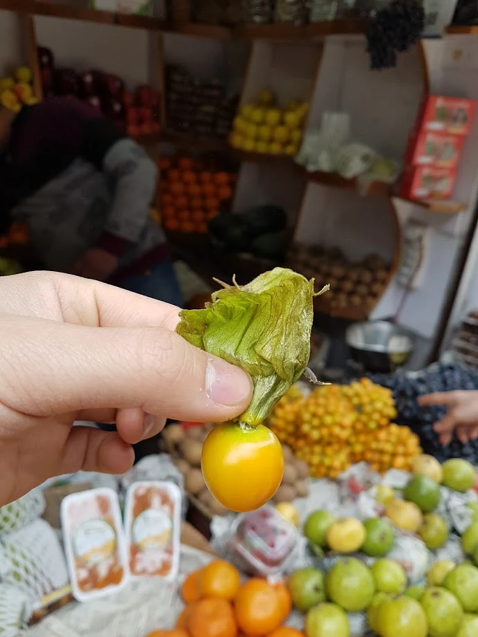 Sy_-zcJI9GSFi8clH7gC7SOTYHResshX0eXh232rhcAKakcYJjDfimzxDuUDnhmUjs7a7adFPYERmvHwKkfLWoBPv6yE0RH66fzfmSIekeInpmodHVTOIot0p8Py4FgKZ-KKurEO2tUXHCisMZJBb_XF3D2ryVSXdKj-S0JxWN7w5YhC3Zu50-bgd1teyIJOGS_ZNMjnXyZOduyqMt2LbKxR_Qp6I2q8beCozC-7qvpH7-uI0X87SpPUjDap6Rhvz0qNQg5chHJ5FY0UO177q2F5IWUOdAY38ufFyiaLS1G8EymamrFBEQC5L0_ScJhQtwE4p2fsmz-u9CDHrVt0Pqnvrk_m8hg_7IMtPQa31Pj6Nd145u0dAt5Ckaq04iwdNkNk01ohb2Yzw60rwGg5--t3HHYCoHnmaHFdt3TrzDP936JQPFo_jeM0jKTLqJO3C2R_6hgzku5VKGIp28_VxQHNTFZzM1KsjU6ZsN_ukZ62rThmVgl-doXHxFrSg3_KODwAsq71uMP4U-d4qrMe-Nz-2wmXtrmrqB_eJk9E-ZkuZawY1p9IdRgUy2u7wNXBMTTas0-qIQZWmErIAw0NpIuYRggEm_ep2GFdsxlvoepgQxwU3Mt7_w=w691-h921-no