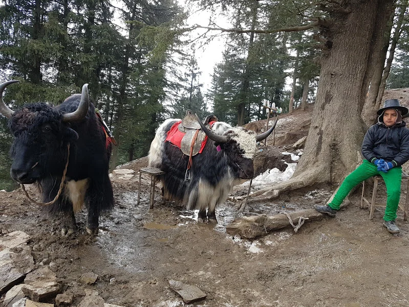 O_74g0vjdKhIyS8FuIbfjw3uv0gPjDbLWBKH2pCdZyWdl44GeqQ-mYl8LGTDDqp17sz7CNq3TlH8hRl4VAr6oV80JwT7V3O_nfBkkTZQxUA-Uup_FF7G8nfIVVTAa9jdrAAxFxnTwo6iB-HyYOh6TBPPaZmjRqzDqbggoz-HkkG1BygqWWNMtTTxFau2J5vnSoarJ8GcmVofGjL7GKCLWkYjV4YiCzNGoQJ4ZG_bw64BIJRsQ-SZF0kchCp0-gN02RwUrRfDZmDeQswnl3hohLP1NB5mYUKeU_ZPi5W44WDJ5F0RpUPVePQYVb4sfyl_FUWQfm3PMNPXwwyOsvrWrI0Io2md8PDPW3vZxgCYSZyKz0tPpMsSG6QUBIxPSXP0wj14OfNsgV93LqUxDkKMDbzfoXH4ncRf5fF7d8ld70t_BZQuVO7YWBBzPOM8ttd12iQ1MFYlfWt5asui1d01h4jqllMRhJF0iYJohjXMDYsgNVqUNHqPcgRfkRb7awK2cEn0TFlTK5vUDFj-mlUQ_C4t7ki3AClK_3w5ZlyJxn-h9t_njy0flH58Y1qV39xfNPIOUgniAwLjKlljYut_Tl1QPSANqxAn9eSbwHK-4VQJx6t0mw=w799-h600-no