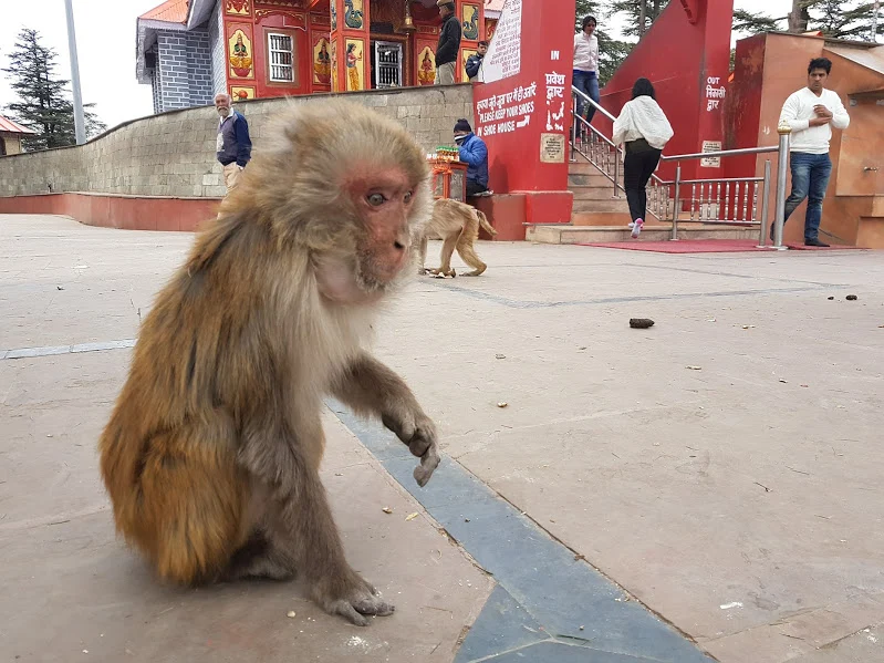 0slThPfeCyZZGTthnnXzGphzGMdtOy-x-BzcpoQAvxCCgJH4oWyk6KrTByoWW2F8CUCSkX-h5s9NMH-7wqxoevmF1MjgIl_V8Uads0LI5rxPg2k_DppFedpjBWkHWZFnKa8brUU3guqrNj-VEv0KPYMFo_XwscpOQz3fzm5ThfvYhWy6WufXHF99kMe7M49q_sJlytz6BHebxDo9Hf_Hj9Wia1_m66f89QSW57xefOnfx08VXh0MG3X3IGU-Q0zdwcndh3aVZDYANdZQ7vHnyNJfLePqaW_VSrSNrO0NVL2WwbQWlT-6PHDAexGLndhp7re4tUI0qWQmJ1m6OVYy4o0NwqAPvQJ1ykR47yF0SZu1qrF-_pEv-pwj51QYP5rdzQ-CD0BeawyVwNKMIkWRRUwcdu8wqFVeuWizThY3BSMoxjNFc52RnUxJhIR4CLzDbU6KcU9bceKcLLAe5AU9y3BIc2wIoUJz014Rf7VMXchU8QToLbuCFjMWUAWr6oOU35d2UXbb7-sRzktW58npcL66DV7v76m0ALJYqZ7XfkaiA5lmszRmddb0n-Qh9f4FRaym54inAajdr4JqCDjAX534cUgVJ_4BMbaWPquYxH66rIeXpA=w799-h600-no