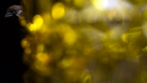 X15015670086589.jpg?type=w966