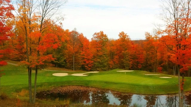 272C9A4E54A3338410FAB9