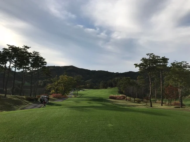 99BAD53359F5D5750DA502