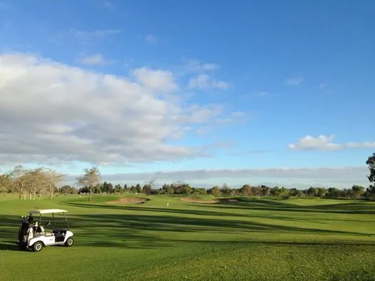 260CCB49546F8C0A221D32