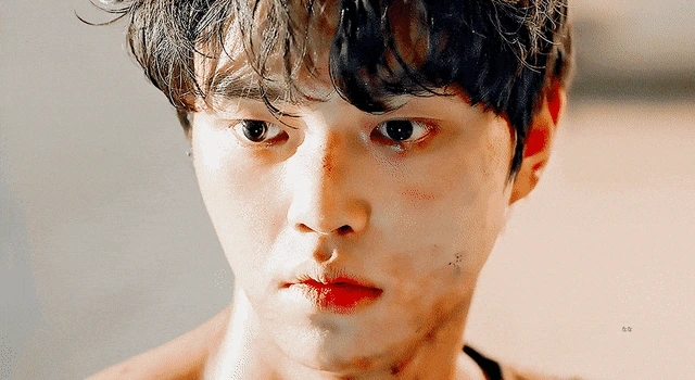 AstonishingPointedIsabellineshrike-size_restricted.gif?type=w1