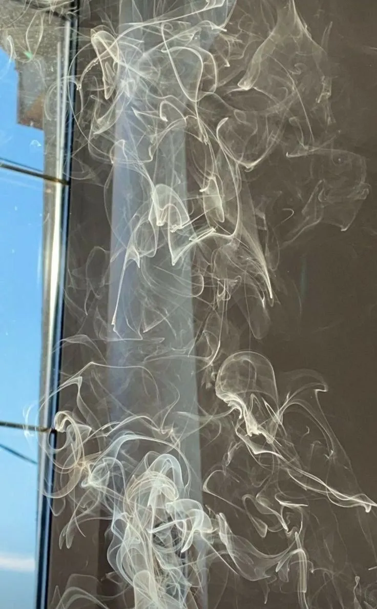 cr @urnshx on tumblr.jfif