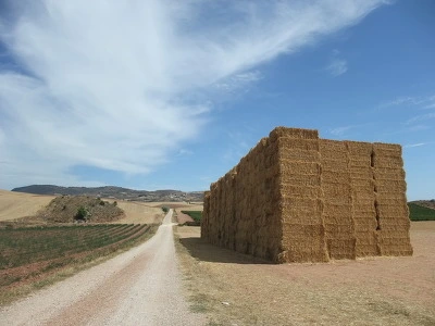 184BAC4D4EF88070345DF4