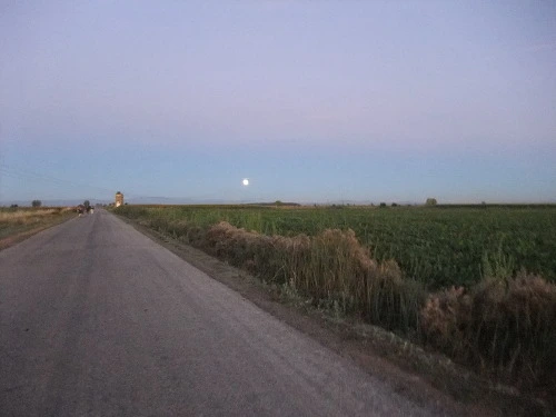 111D83344FB791AF2E292F