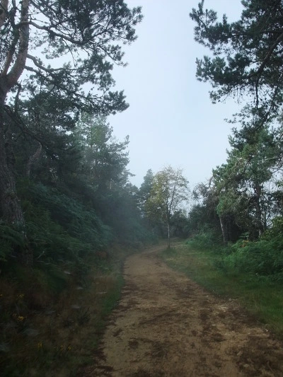 156577384FD4A6B9192914