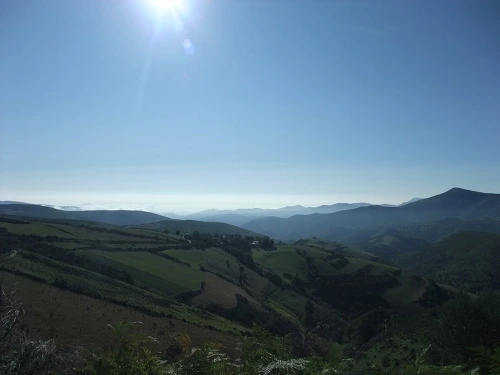 1419AB414FD4C0D60DB25D