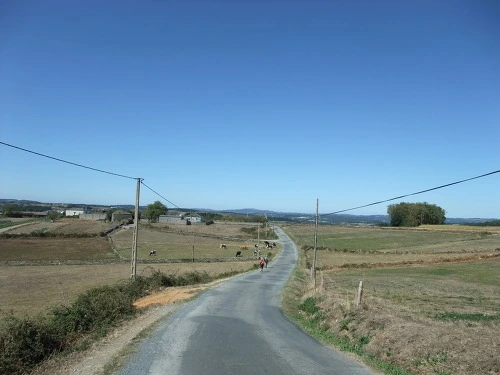 1917CD344FE71F182B20F4