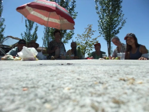 156C7E464FA7BDED2FF575