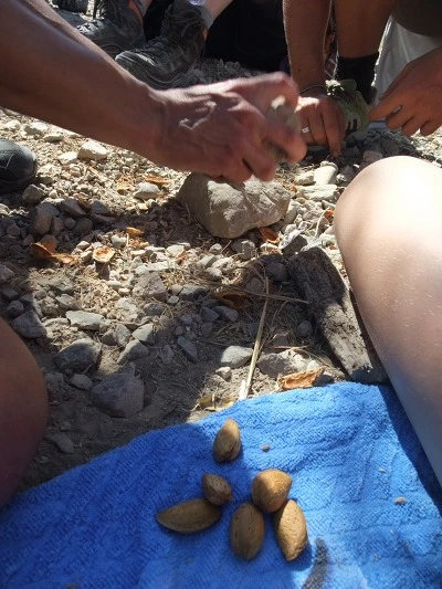 201865464EF9D58C03F89E